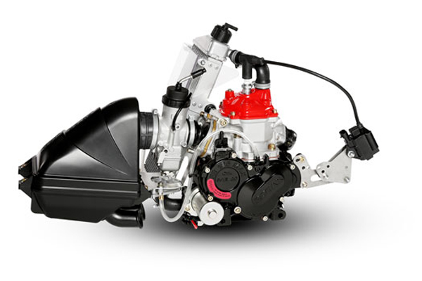 ROTAX 125 Junior MAX EVOエンジン