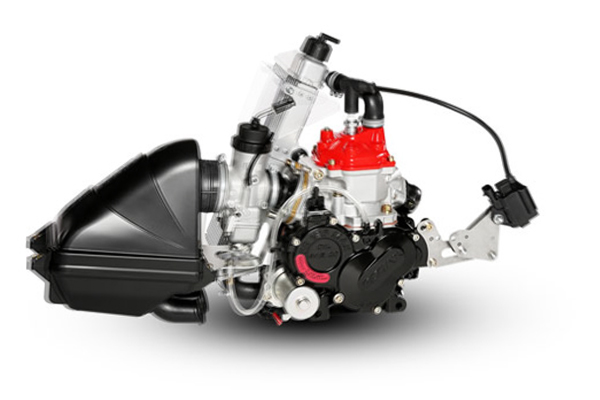 ROTAX 125 Mini MAX EVOエンジン